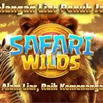 SAFARI WILDS SLOT