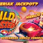 Wild Coaster